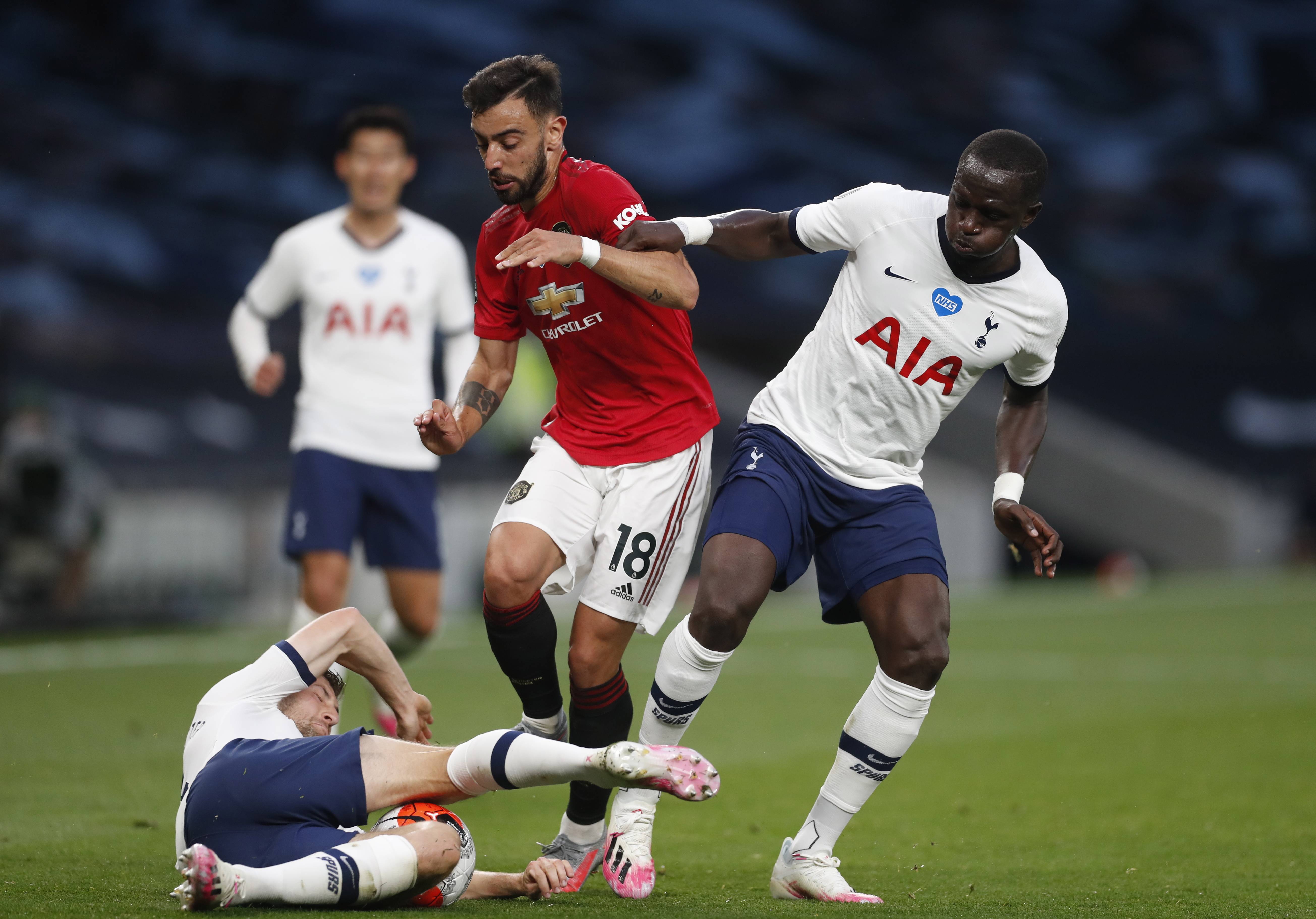 的社会中树 的社会中树